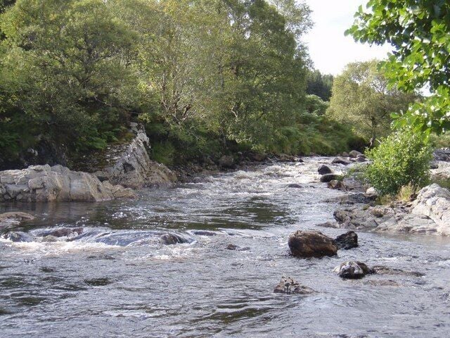 River Cassley Looking upstream in the middle of the copse