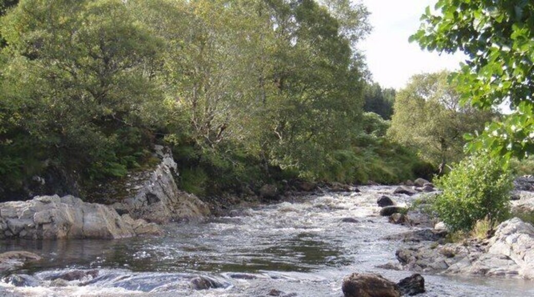 River Cassley Looking upstream in the middle of the copse
