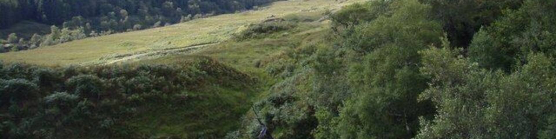 A valley with a river, dense forest, and mountains in the background.