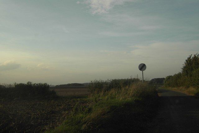 Fields to the North of Lumby. Fields viewed as you leave Lumby heading North.