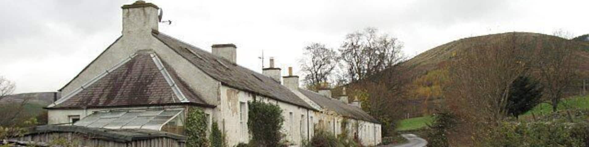 Cottages, West Bold Row of cottages on the minor road south of the Tweed, opposite Walkerburn.