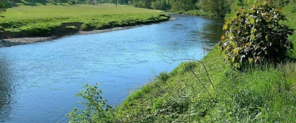 The River Tweed Near Holylee Looking up the river, a little downstream from Holylee. Viewed at the end of May.