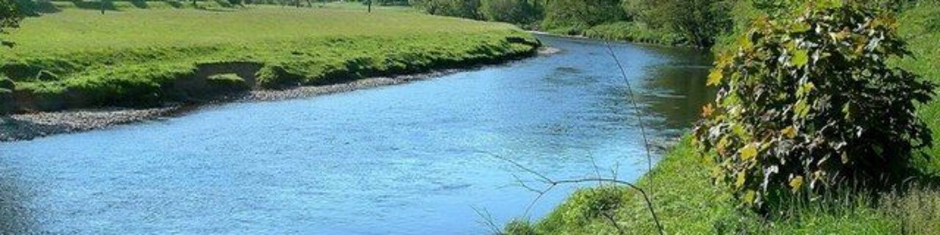 The River Tweed Near Holylee Looking up the river, a little downstream from Holylee. Viewed at the end of May.