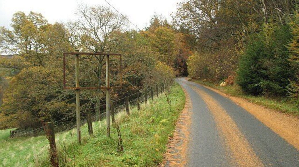 Road entering Elibank Forest Larch needles and the remains of an old road sign on the road that runs along the south bank of the Tweed between Ashiestiel Bridge and Peebles. This part of the road is a very scenic section of route 1 of the National Cycle Network.