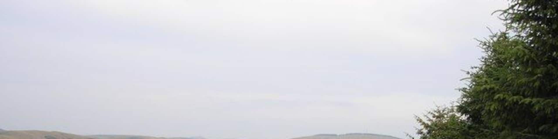 A stone wall, grassy hills, and a tree.