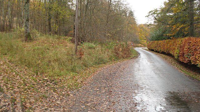 National Cycle Network route 1 The minor road along the southern bank of the River Tweed is used by route 1 between Newcastle and Edinburgh. A very attractive road with fine river and forest scenery and little traffic. Passing Elibank, looking westward.