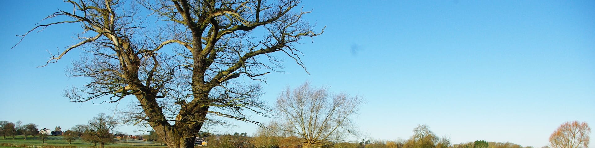 River Arrow The river outside Studley on a cold, clear wintery day... funny what the camera sees - I certainly don't remember it being that blue!
