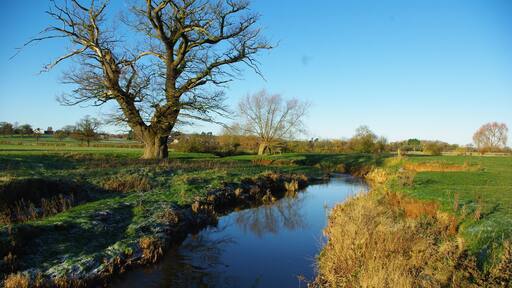 River Arrow The river outside Studley on a cold, clear wintery day... funny what the camera sees - I certainly don't remember it being that blue!