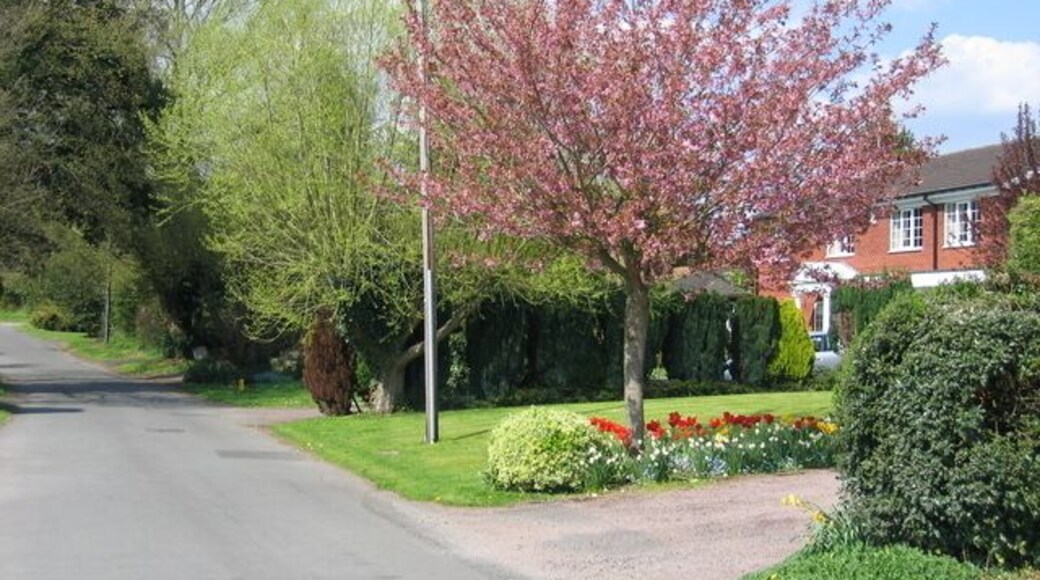 Pratt's Lane, Mappleborough Green. A floral and blossom display at one of the houses on this quiet loop of the main Alcester Road.