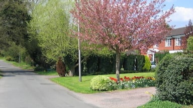 Uma rua residencial com uma cerejeira, jardins bem cuidados e uma casa ao fundo.