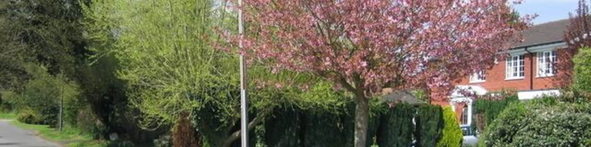 Pratt's Lane, Mappleborough Green. A floral and blossom display at one of the houses on this quiet loop of the main Alcester Road.