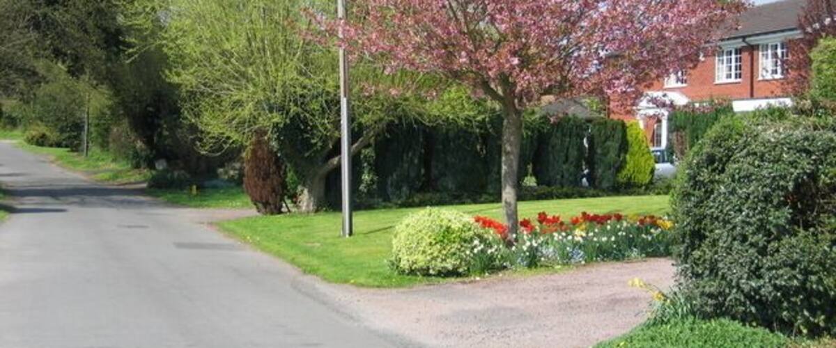 A residential street with a cherry blossom tree, well-maintained gardens, and a house in the background.