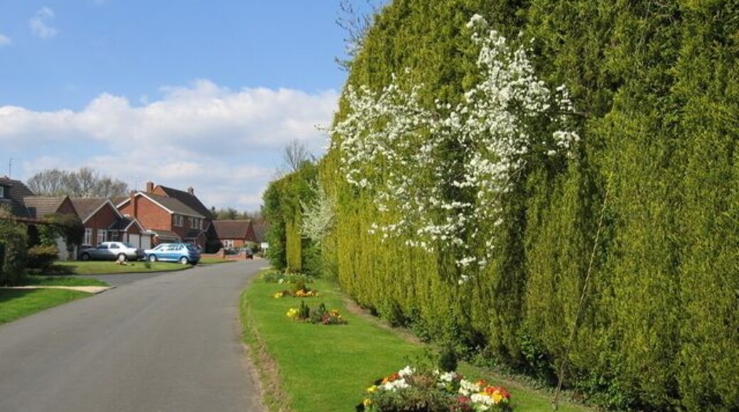 Pratt's Lane, Mappleborough Green. The lane forms a quiet loop of residential housing off the main Birmingham - Alcester road on the western edge of this square.