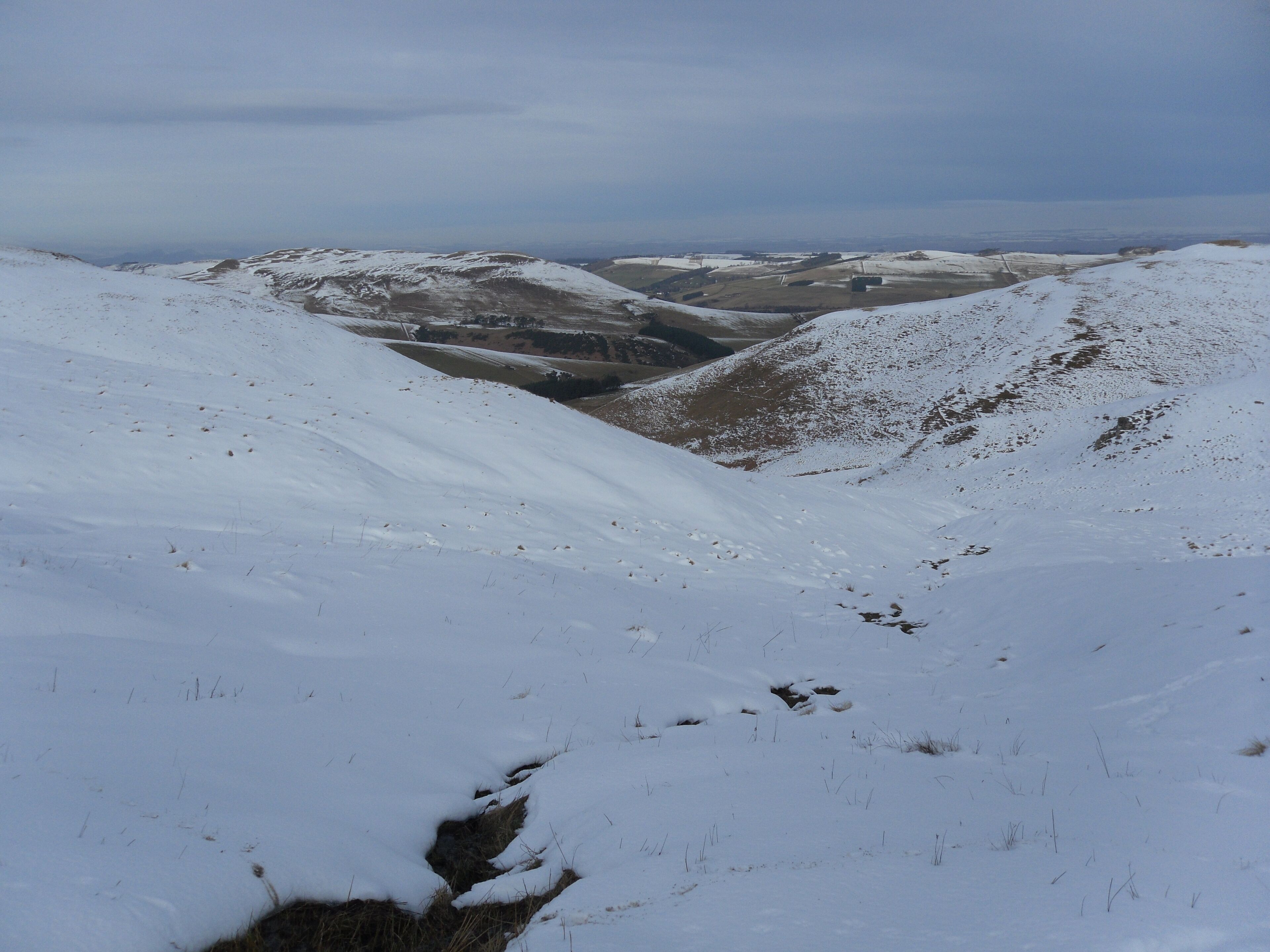 Looking Northwest down the Witchcleuch Burn