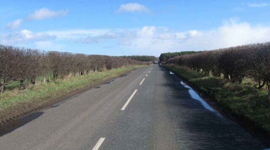 The road leading away from Wark In Northumberland.