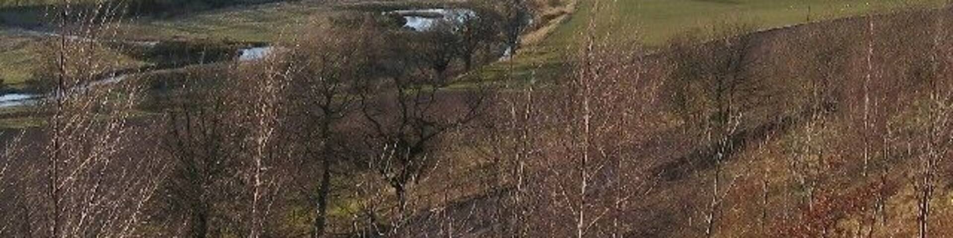 The Bowmont. Looking North over the Bowmont towards Mindrom Mill (white buildings rightmost)