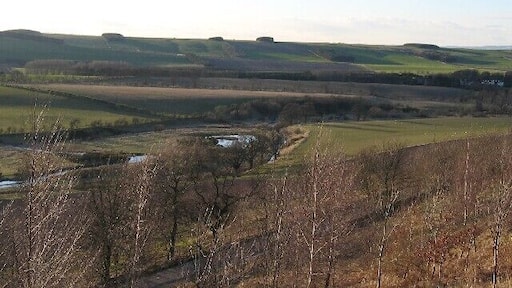 The Bowmont. Looking North over the Bowmont towards Mindrom Mill (white buildings rightmost)