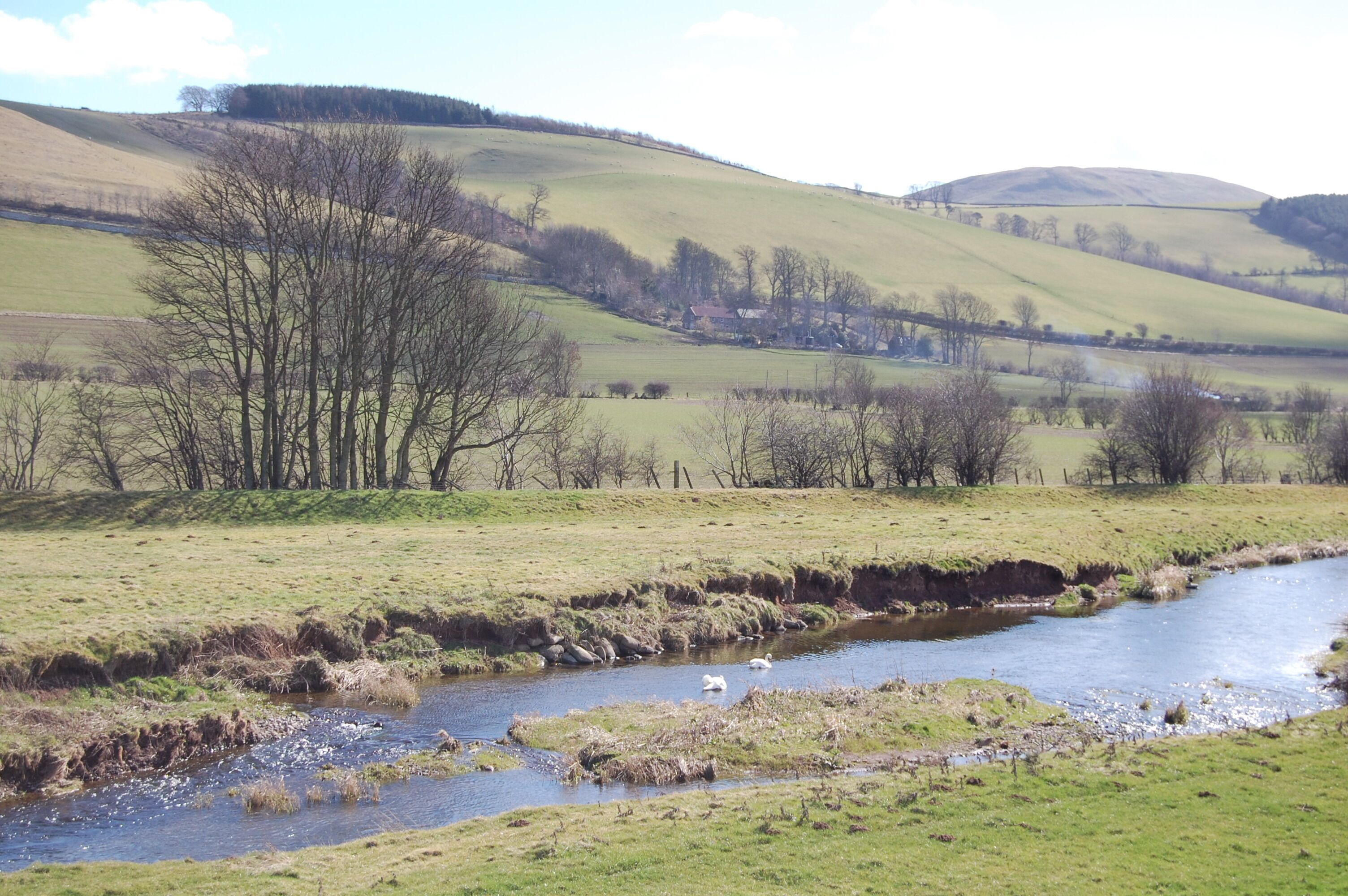 Kilham : Bowmont Water, Data from Geograph: Description: Bowmont Water is a river in the Scottish Borders and Northumberland. It rises in headstreams in the Cheviots and flows generally northwards through Morebattle and Yetholm. Soon after, it crosses the border into Northumberland and... more ICBM: 55.574380086756, -2.2527751057851 Location: (about 1 km from) near to Shotton, Northumberland, Great Britain.