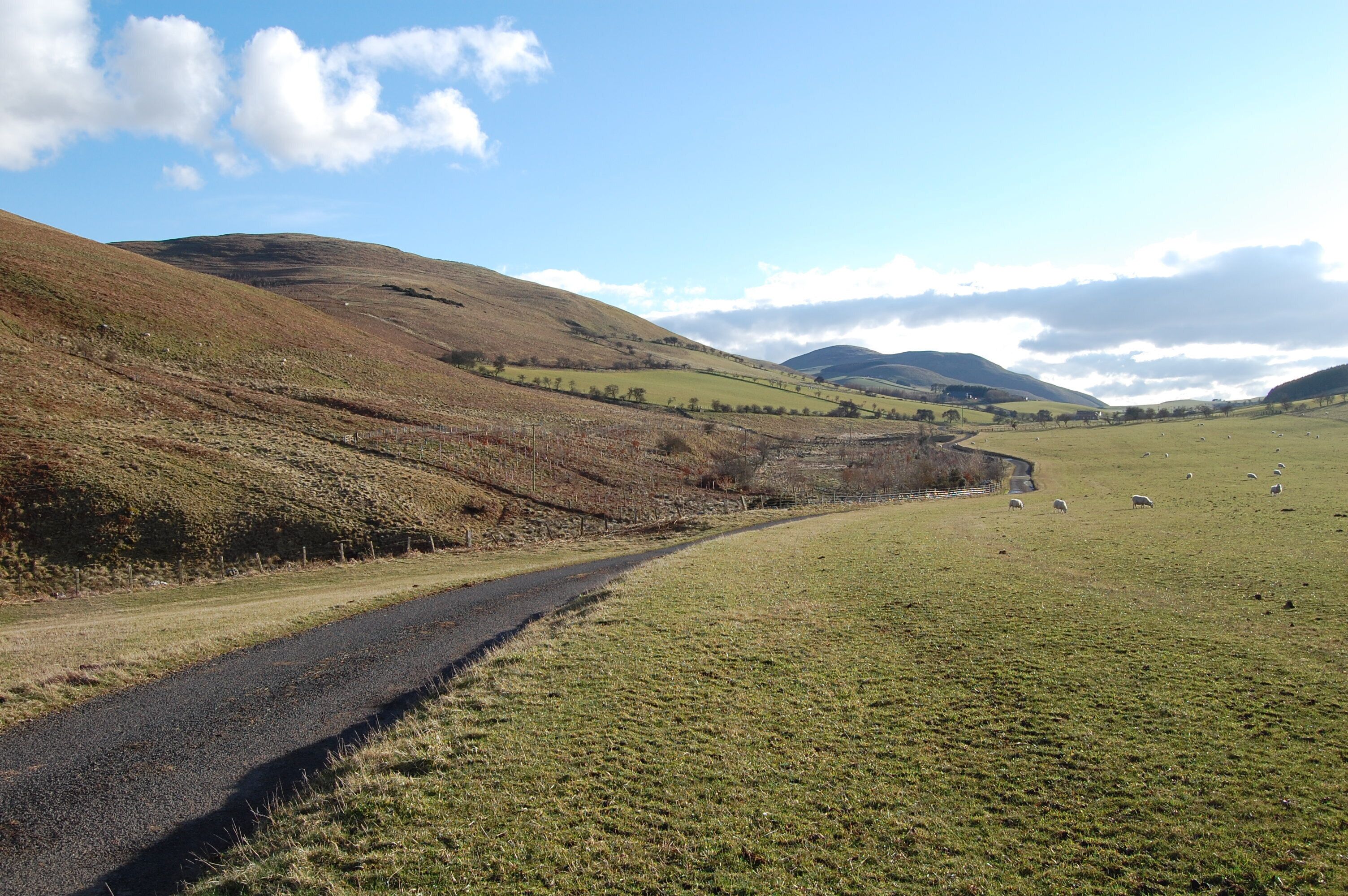 Kilham : Longknowe, Data from Geograph: Description: NT8731 :: Kilham : Longknowe, near to Kilham, Northumberland, Great Britain ICBM: 55.573033266529, -2.204079055575 Location: (about 2 km from) near to Kilham, Northumberland, Great Britain.