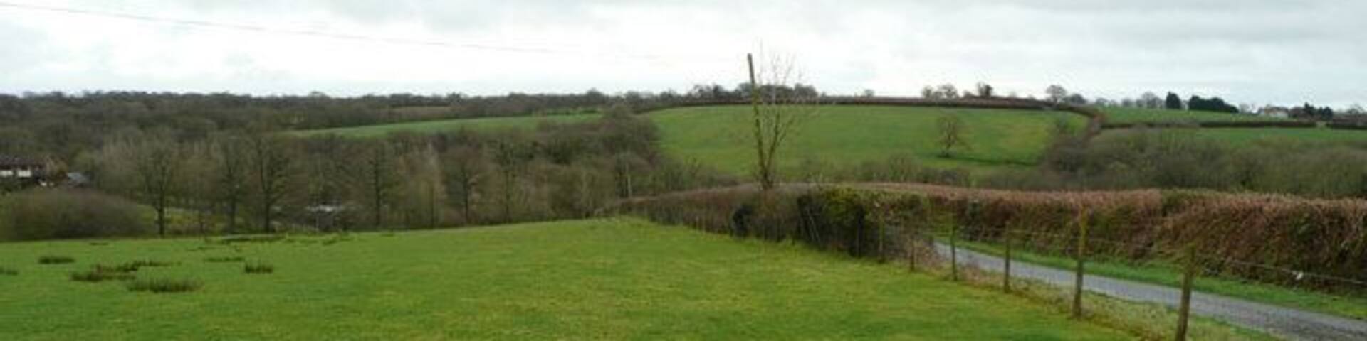 Mid-Devon countryside Unimproved grassland near Irishcombe Farm at the upper end of the Adworthy Brook valley