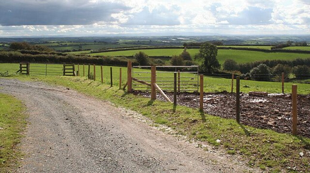 Twitchen: West Twitchen Ball Farm By the farm entrance, looking south west towards Dartmoor. The farm hires out horses and ponies, offers riding safaris and livery and equestrian services in addition to bed and breakfast. It has its own internet site