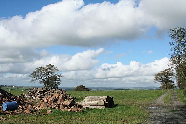 A rural landscape with a dirt path, a pile of rocks, a tree, and a distant view of hills under a partly cloudy sky.
