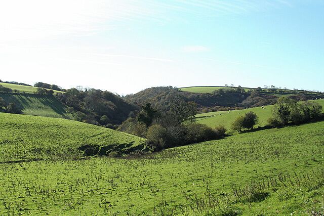 Twitchen: near Lower Bickingcott Looking south west towards Bickingcott Wood, left, and Lower Ley Wood beyond