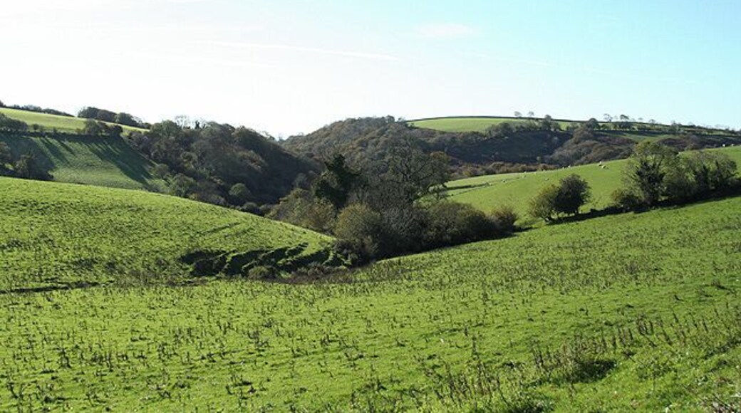 Twitchen: near Lower Bickingcott Looking south west towards Bickingcott Wood, left, and Lower Ley Wood beyond
