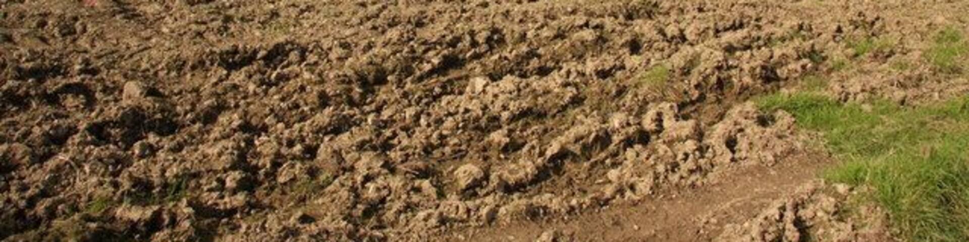 View across Mole Valley Looking north-west across farmland; the River Mole runs east west, hidden in the valley below the field. Woodhouse is visible in the distance.