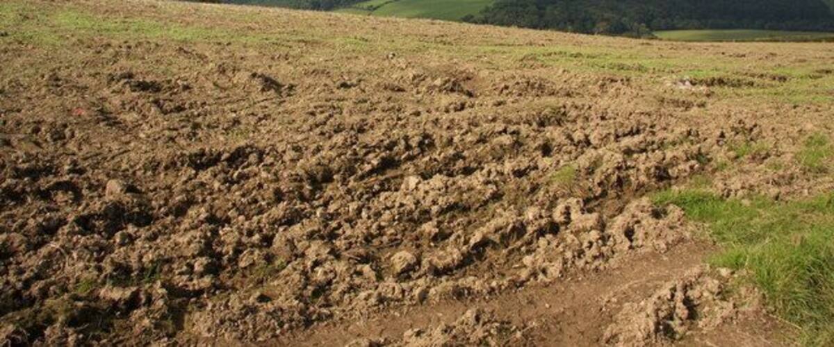 A hilly landscape with a mix of grassy and barren terrain.