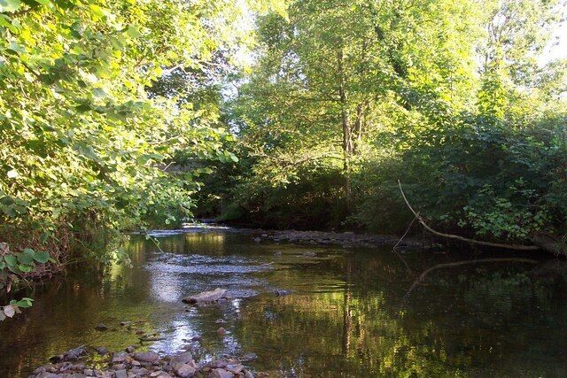 The River Yeo at Bish Mill Standing in the River Yeo at Bish Mill in the mid summer looking downstream.