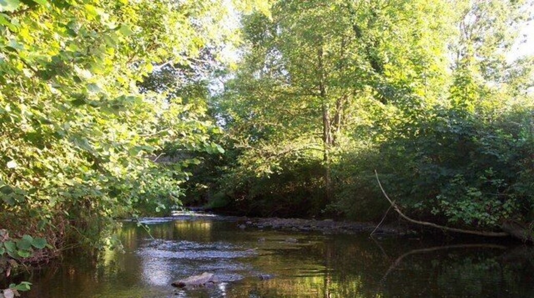 The River Yeo at Bish Mill Standing in the River Yeo at Bish Mill in the mid summer looking downstream.