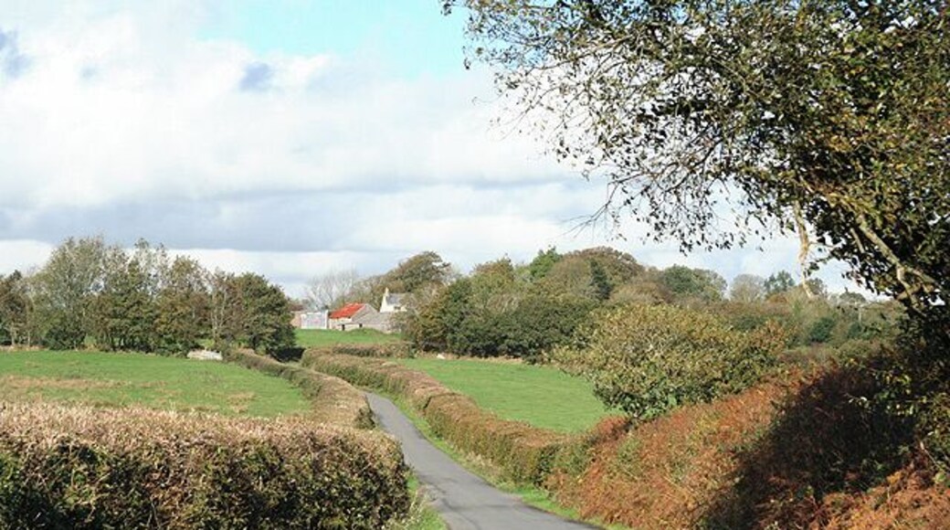 Romansleigh: towards the village Looking north on the lane from Beacon Cross