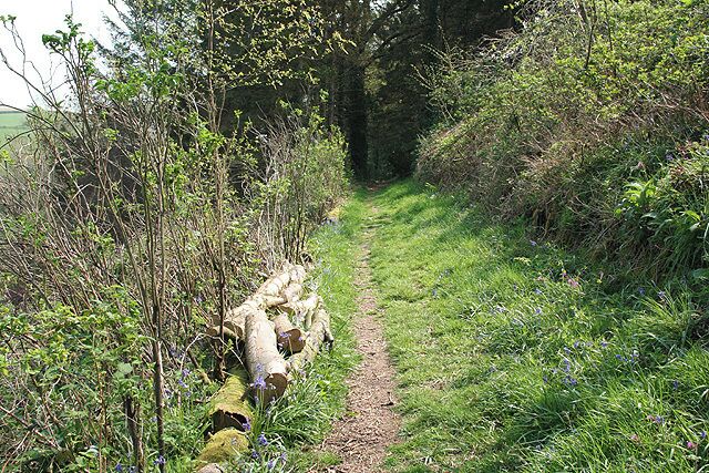 Kings Nympton: footpath above New Mill The path runs up the Little Silver valley to Kempstown and Romansleigh. Looking south east