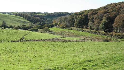 Twitchen: valley near Burch Looking south west with Pulham Wood on the right. The lane beneath the wood doubles as a public footpath to Burch and Marledge