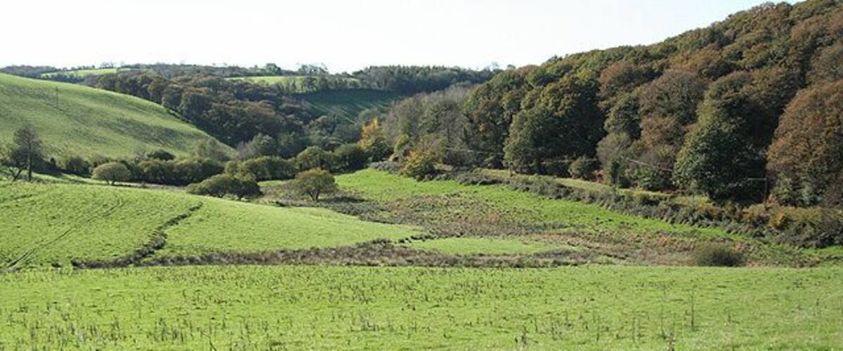 Rolling green hills, a valley, and a forested hillside.