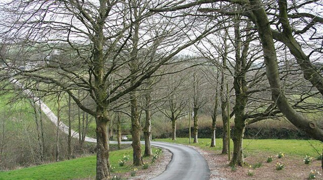 South Molton: private road to Snurridge Looking east-south-east