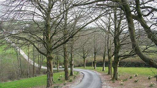 South Molton: private road to Snurridge Looking east-south-east