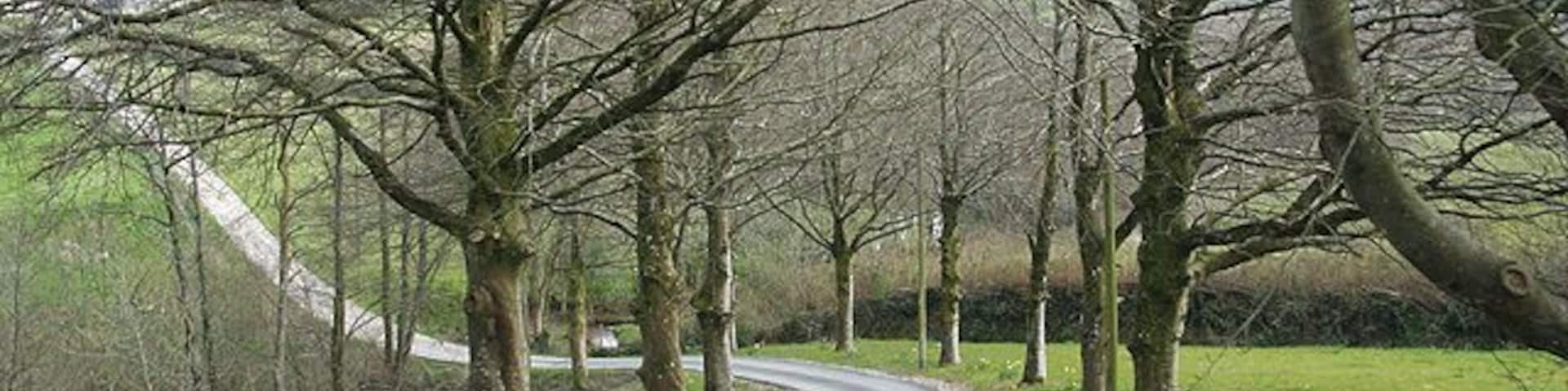 South Molton: private road to Snurridge Looking east-south-east