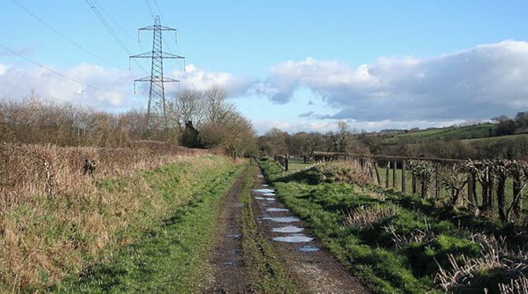 Bishops Nympton: course of the Taunton-Barnstaple railway This branch opened as a broad gauge line in November 1873 and was converted to standard gauge in May 1881. It closed in 1965. Here it is paralleled by a National Grid overhead transmission line. Looking east