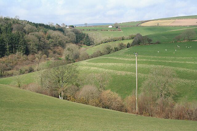 Molland: towards West Molland Barton By the bridleway from Little Champson to Lower Hill, looking north-north-west. Buiodings at West Molland Barton are just visible above the plantation, left