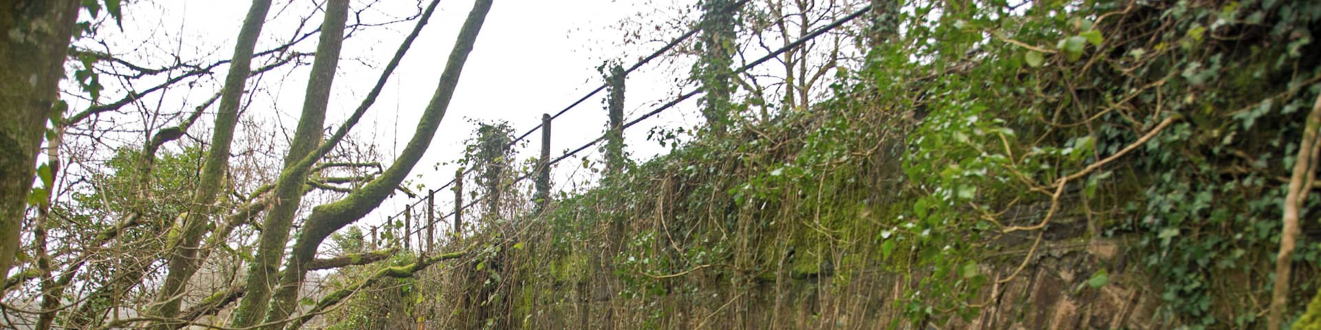 The upstream side of a disused railway bridge on the river Yeo