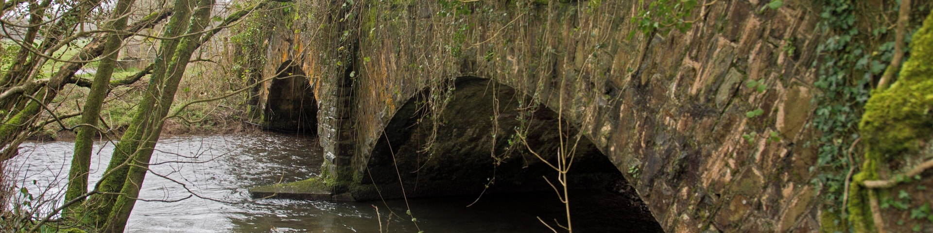 The upstream side of a disused railway bridge on the river Yeo