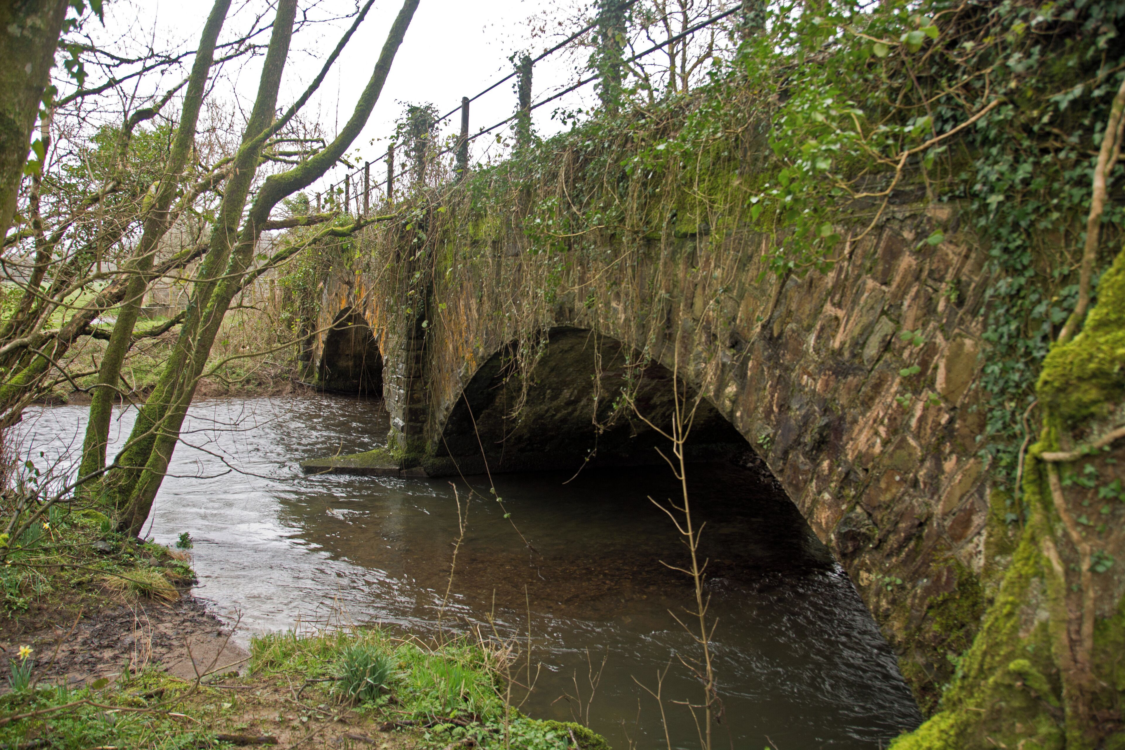 A stone bridge over a river with moss-covered walls and trees around.