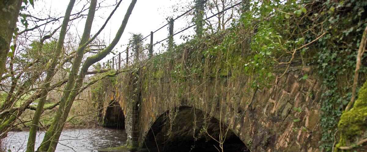 A stone bridge over a river with moss-covered walls and trees around.