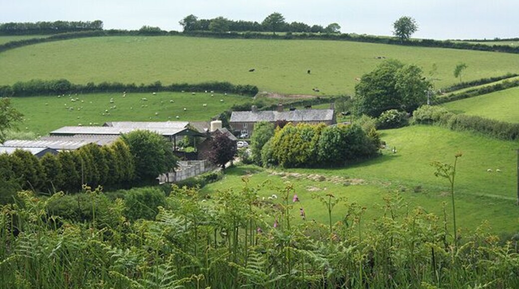 North Molton: Great Heasley Seen from the lane between Heasley Mill and Rewe Cross