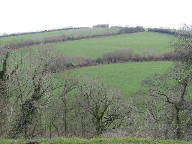 Fields on the hill behind Snurridge