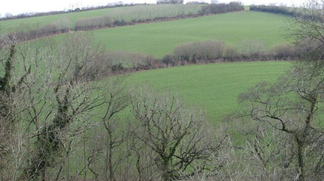 Fields on the hill behind Snurridge