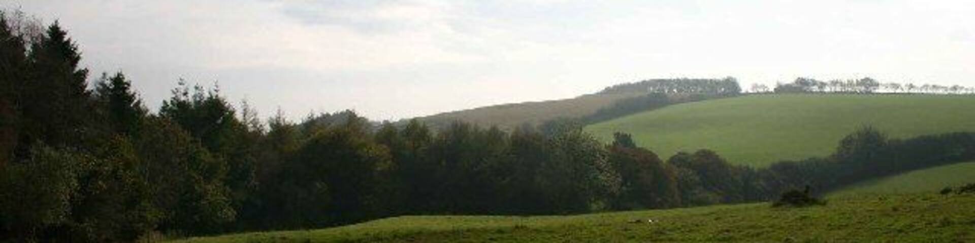 Along the edge of South wood, Near Heasley Mill.