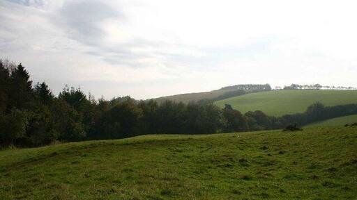 Along the edge of South wood, Near Heasley Mill.